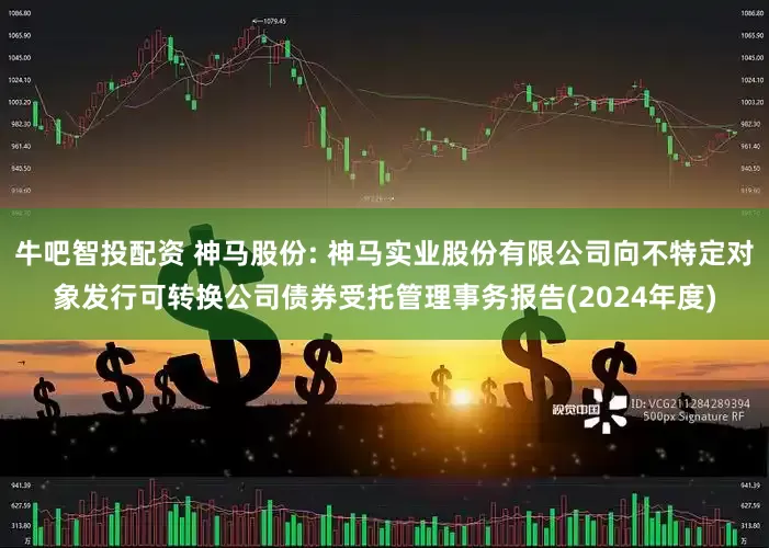 牛吧智投配资 神马股份: 神马实业股份有限公司向不特定对象发行可转换公司债券受托管理事务报告(2024年度)